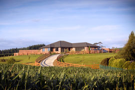 Halletts Bed & Breakfast