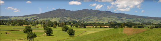 Mount Pirongia